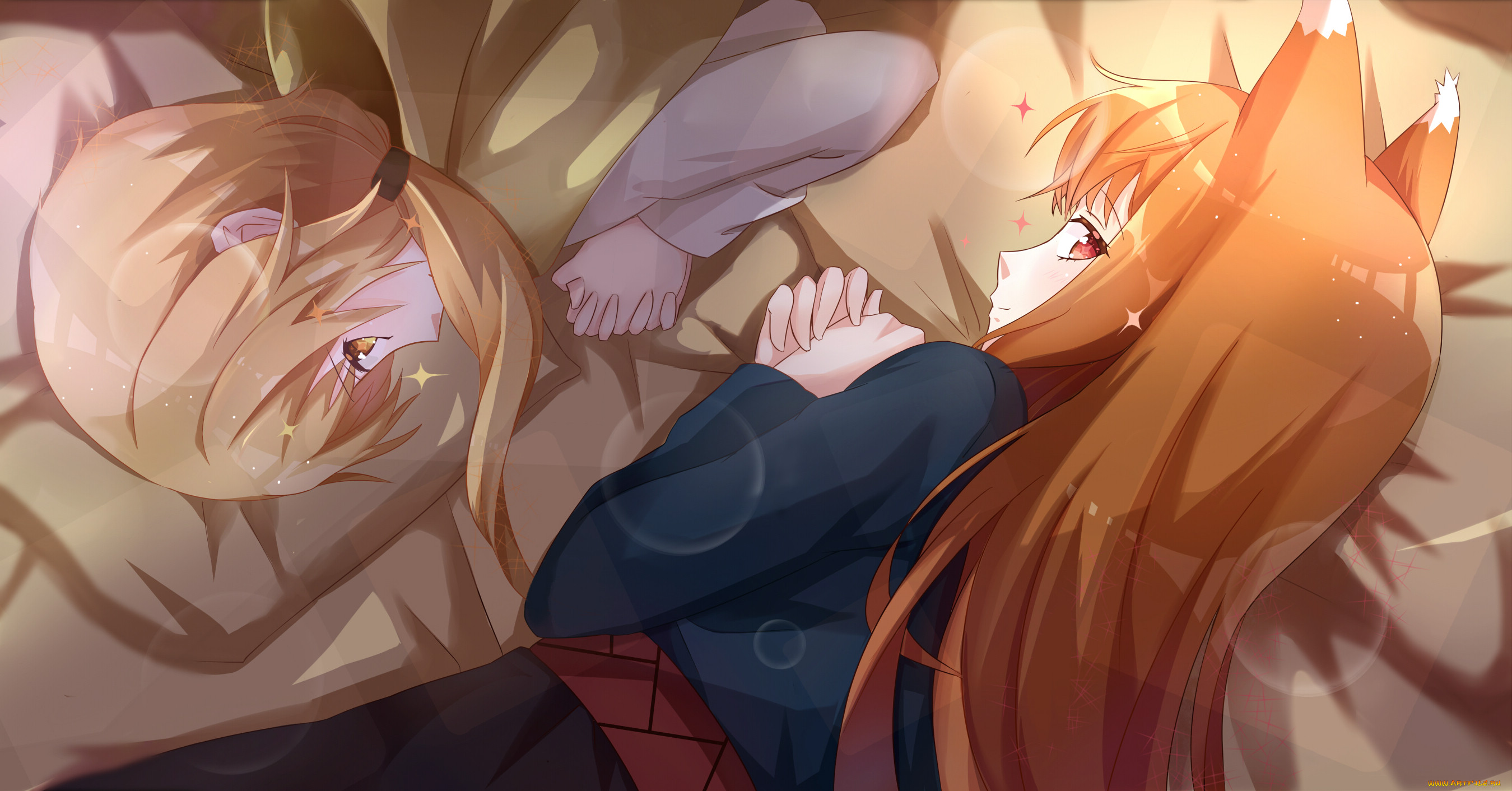 , spice and wolf, nora, ardent, horo, ookami, to, koushinryou